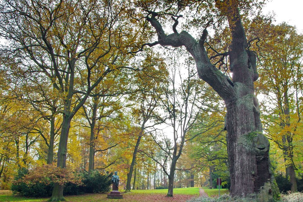 Herbstwanderungen in Karlsbad